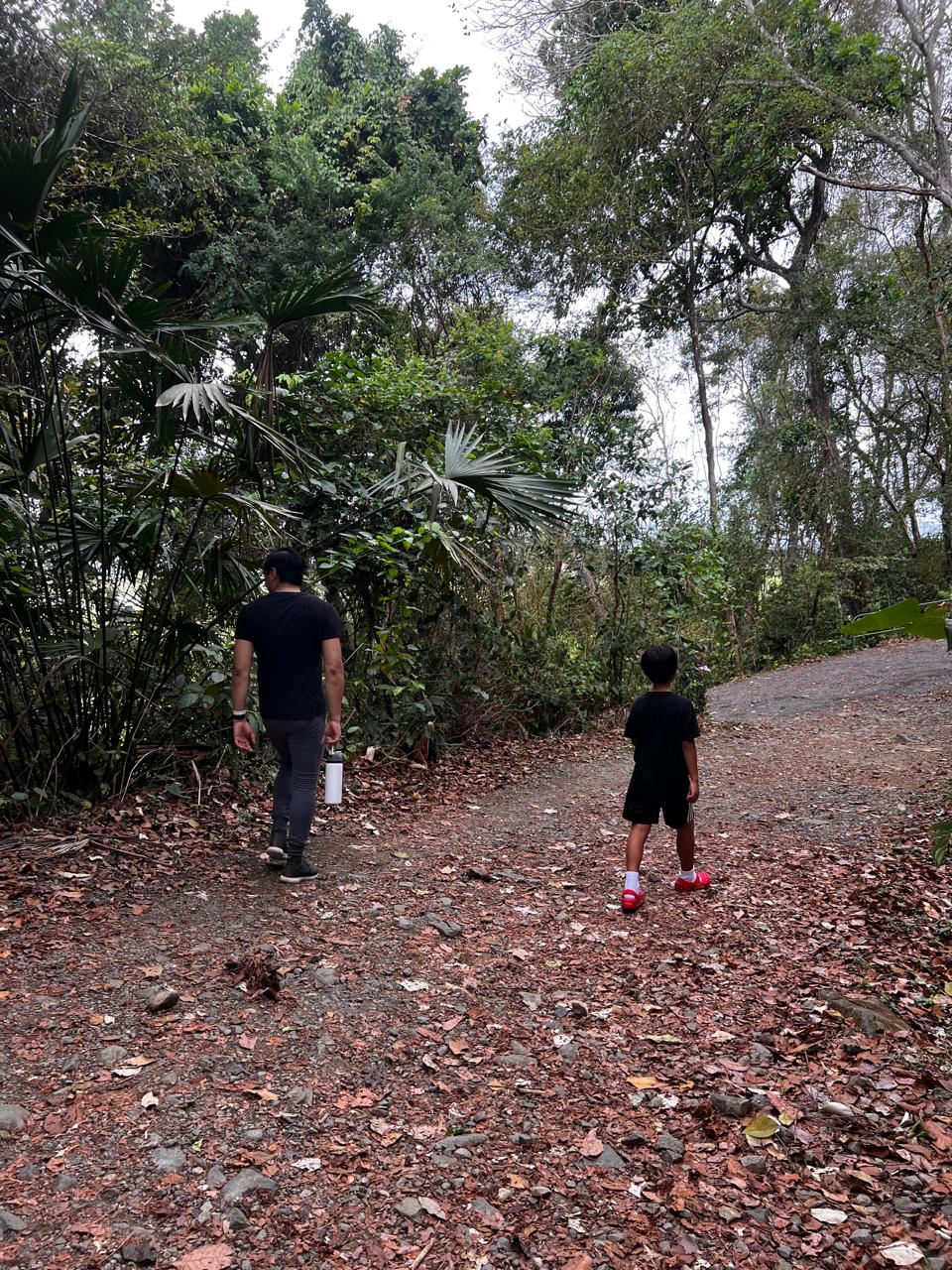 Padre e hijo caminando - VibeLife comunidad